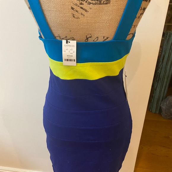 Express Dress - Picture 2 of 4